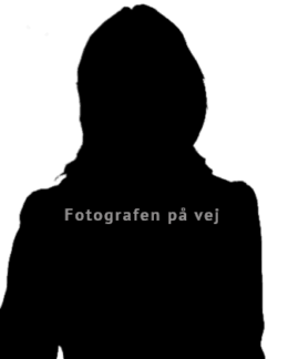 silhuet-kvinde-billede-paa-vej-aspect-ratio-260-324