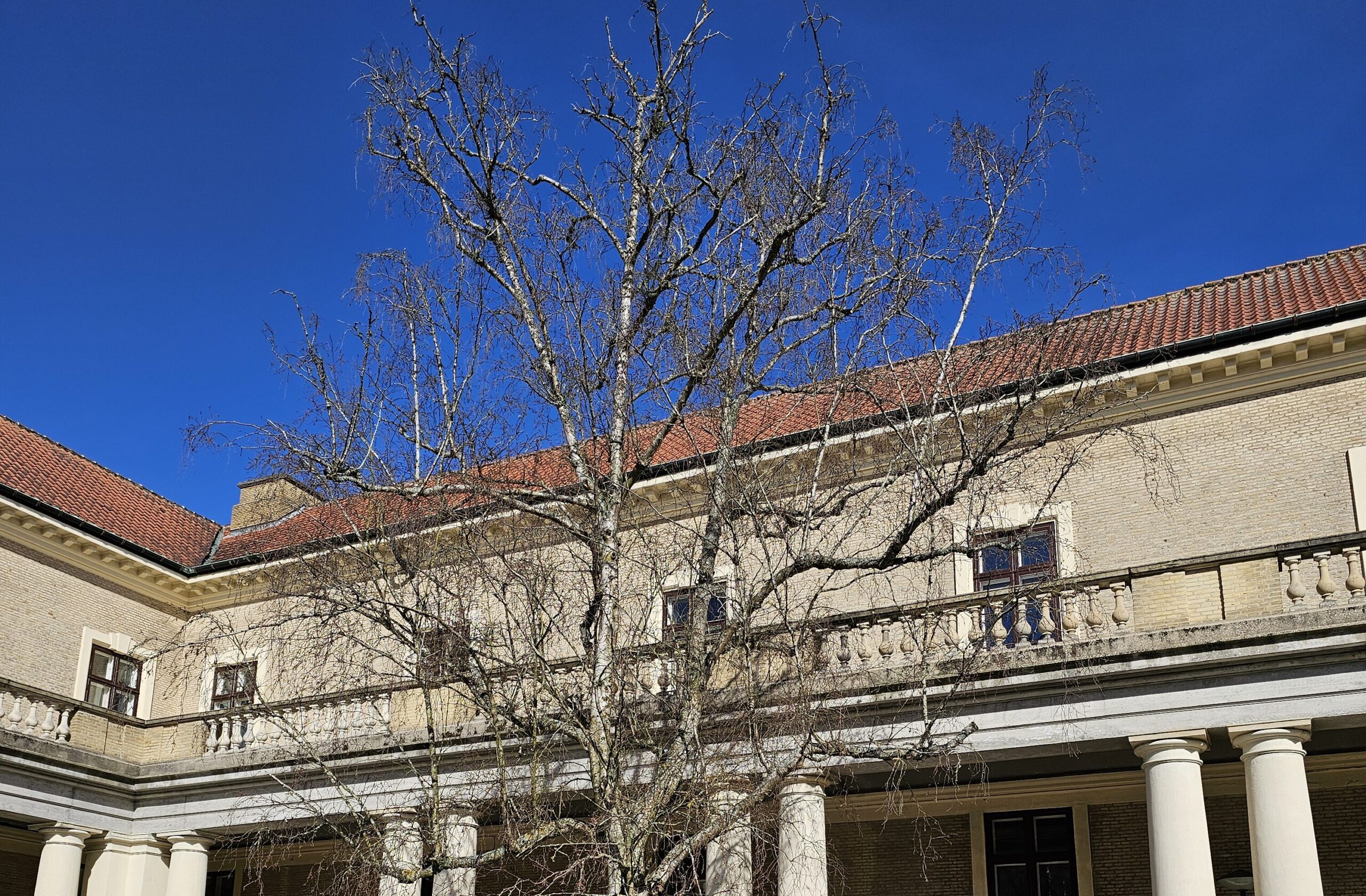 20260408_102831-scaled-aspect-ratio-320-210