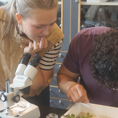 image-8-aspect-ratio-600-600