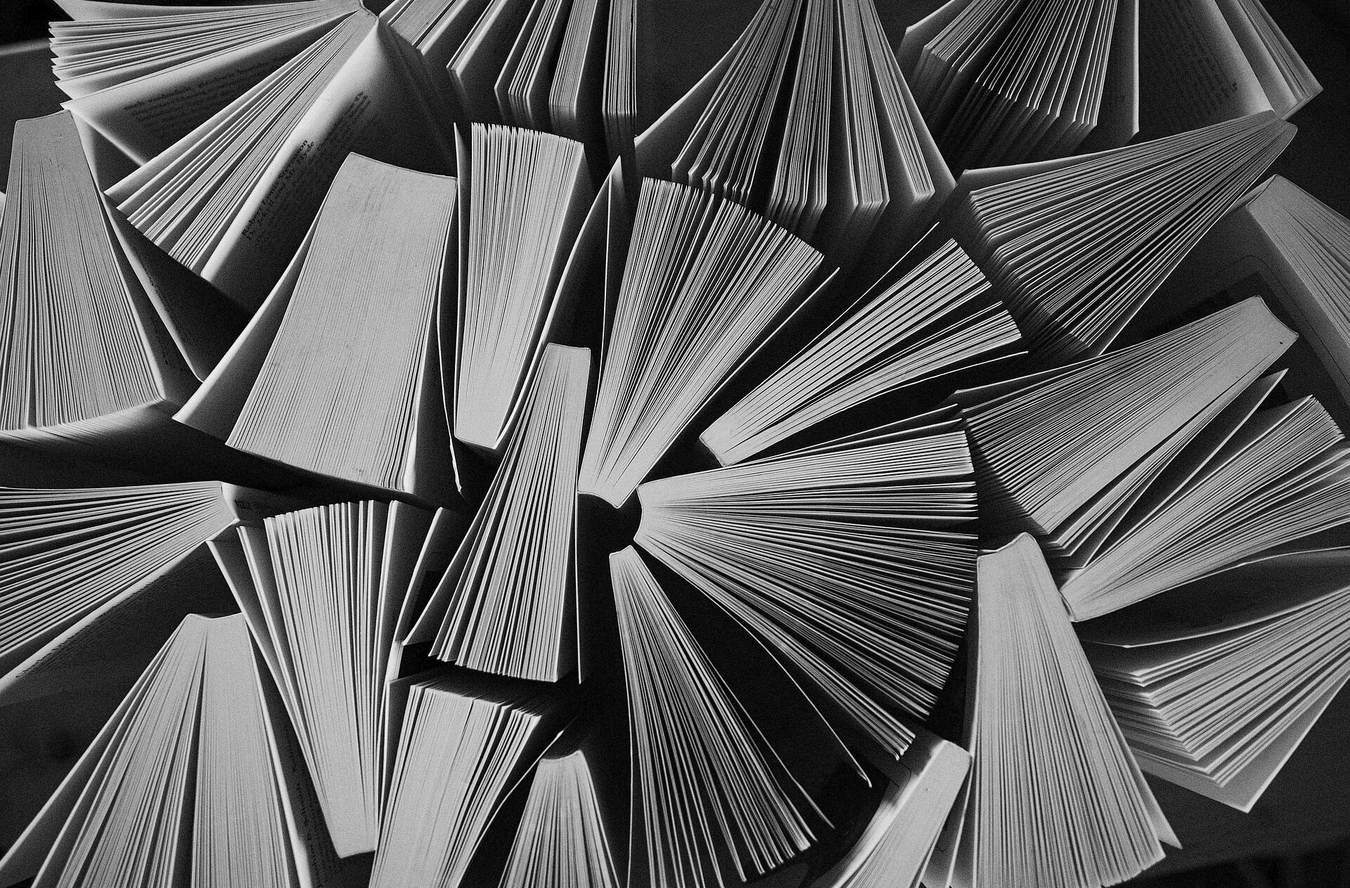 mirkostoedter-library-7720589_1920-aspect-ratio-319-210